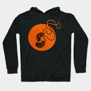 Vibrio cholera Hoodie